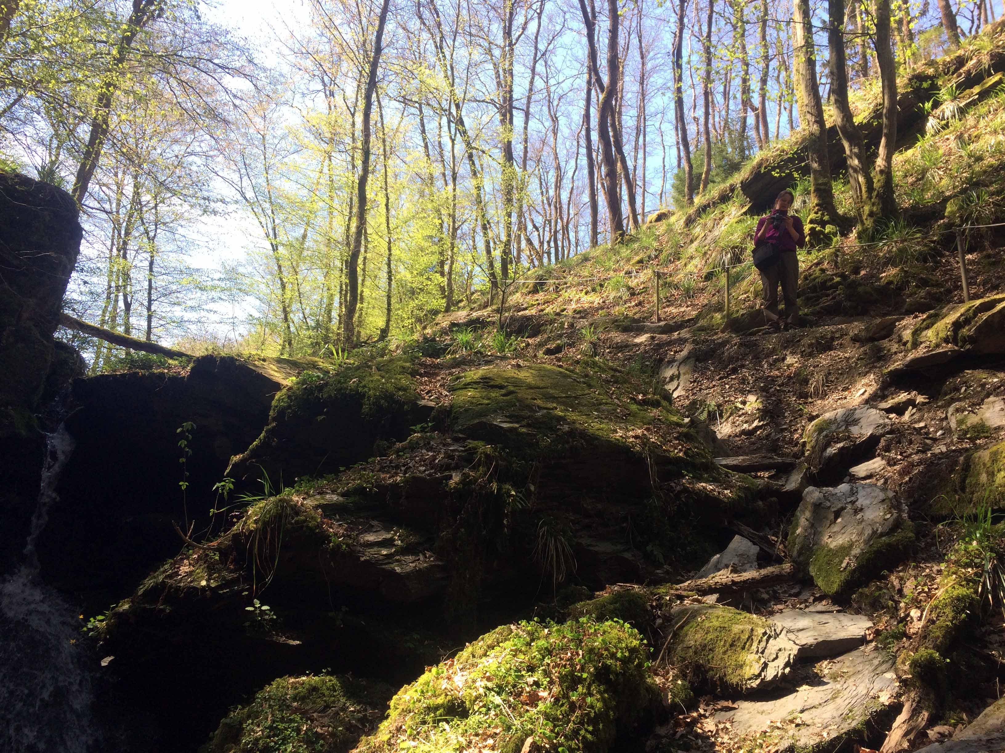 Frankweiler Bachtal WanderHeimat
