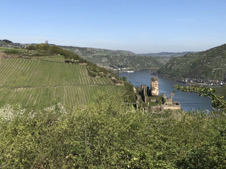 Burg Fürstenberg WanderHeimat