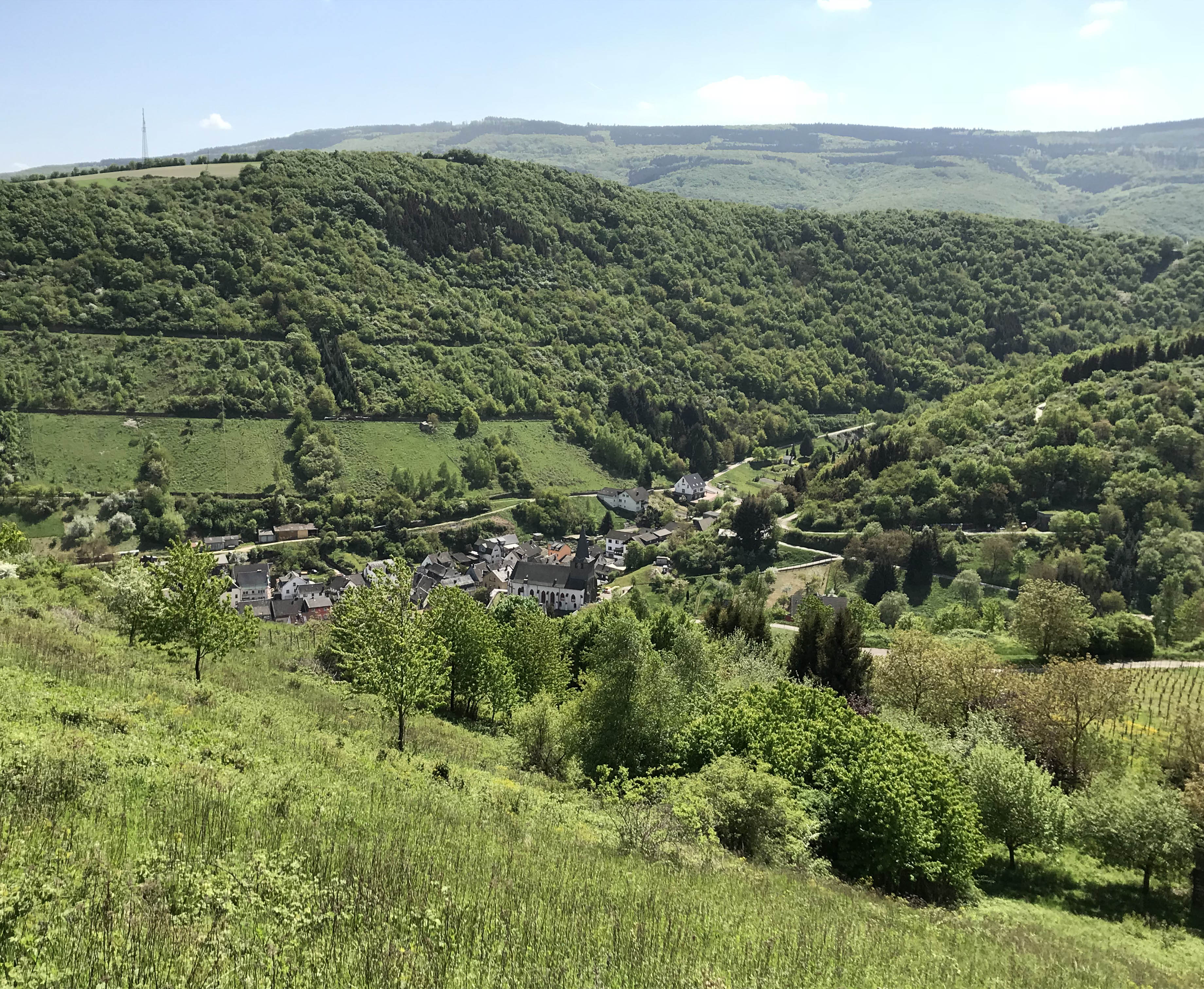 Oberdiebach WanderHeimat
