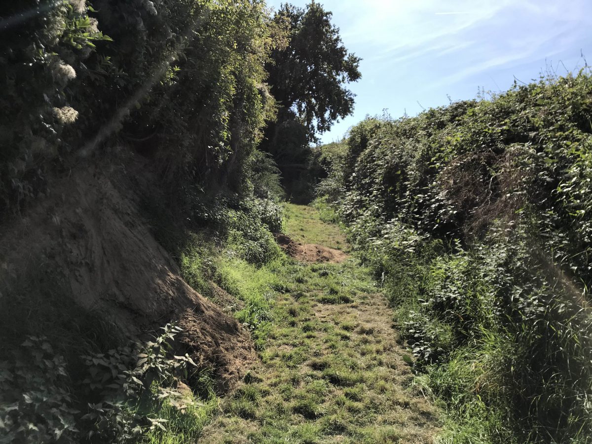 Historische Hohlwege WanderHeimat