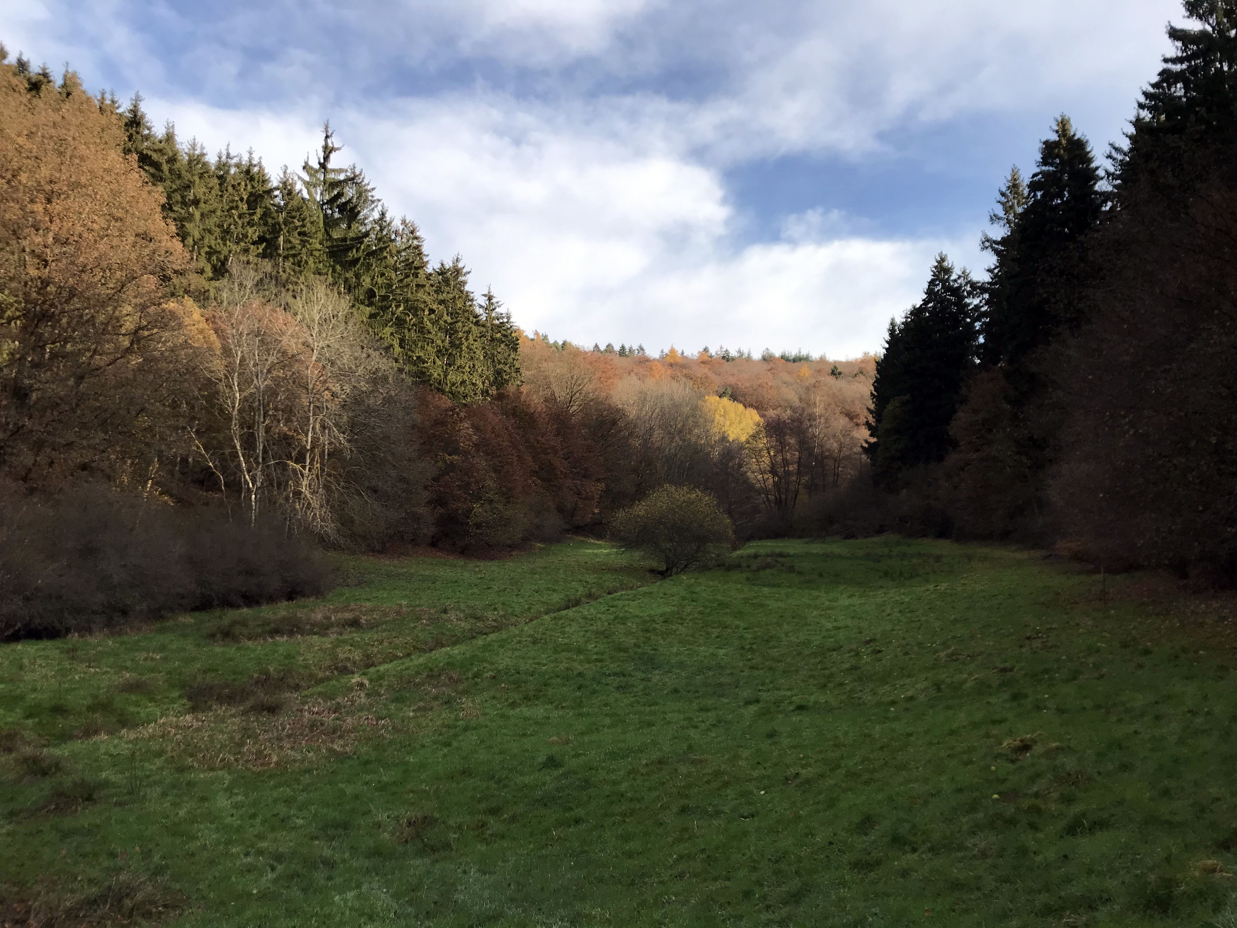 Fischbachtal WanderHeimat