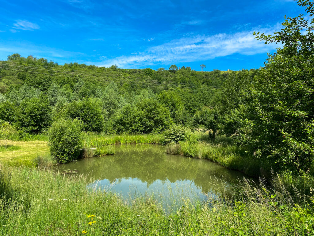 Feuchtbiotop Appelbach WanderHeimat
