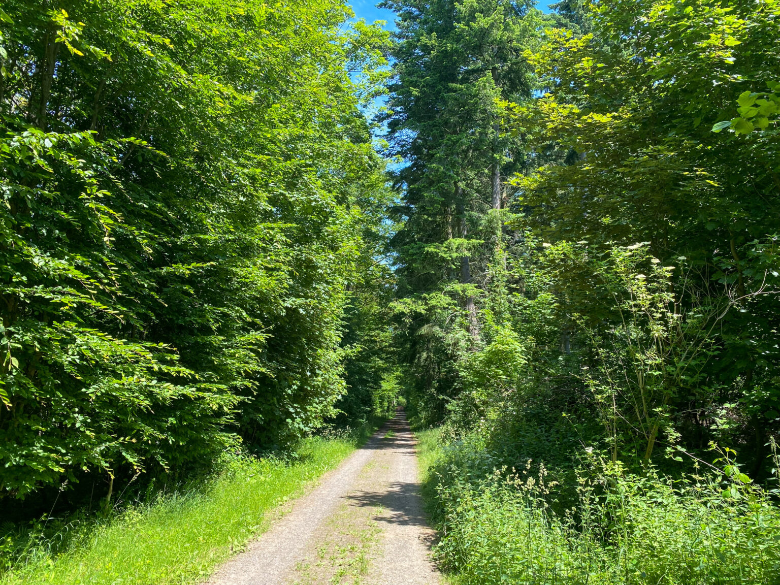 Hinterwald WanderHeimat